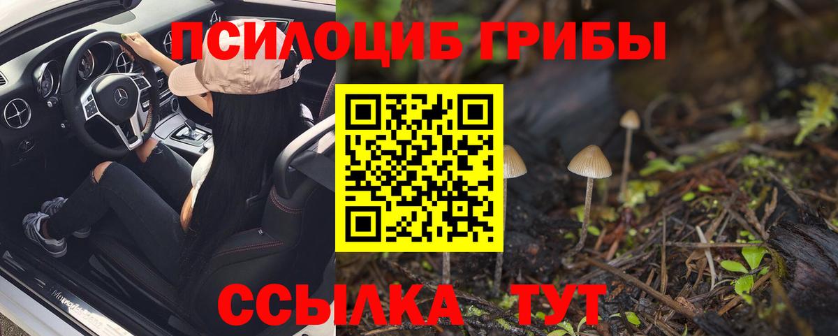 Псилоцибиновые грибы Cubensis Мирный